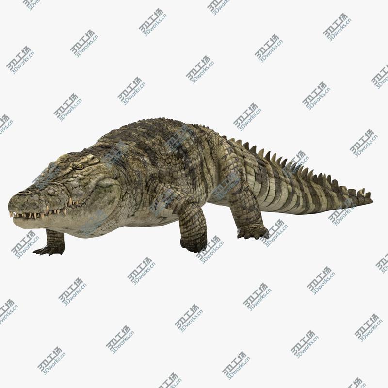 images/goods_img/20210113/3D Crocodile Animated model/1.jpg